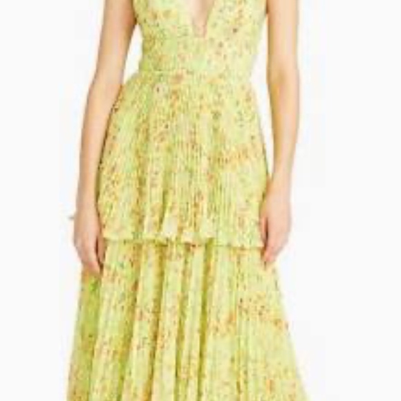 Amur's NWT Nico floral pleated tiered midi dress - Picture 11 of 11